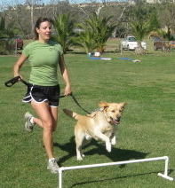 Laurie dog weight loss